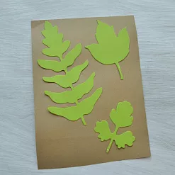 Набор вырубок "Гербарий. Трава", цвет салатовый