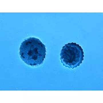 Молд "Кекс и тортик" (Просвет)