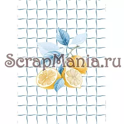 Набор электронных страничек для распечатки "Ежедневник Лето" (ScrapMania)