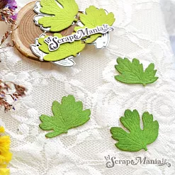 Нож "Аквилегия. Листья средние", 2,9х3,2 см (ScrapMania)