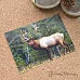 Набор карточек "Тайга", 7х10 см, 16 шт (ScrapMania)