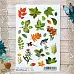 Набор наклеек А6 "Ворожея. Листья" (ScrapMania)
