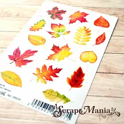 Набор наклеек А6 "Школьный вальс. Листья" (ScrapMania)