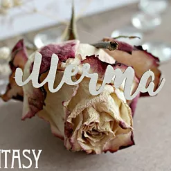 Украшение из чипборда "Мечта 1104" (Fantasy)