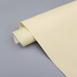 Отрез экокожи 50х70 см "Переплетный. Матовый. Айвори" (СкрапХит)