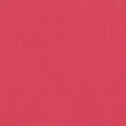 Кардсток Bazzill Basics 30,5х30,5 см однотонный гладкий, цвет арбузный Кардсток Bazzill Basics 30,5х30,5 см однотонный гладкий, цвет арбузный