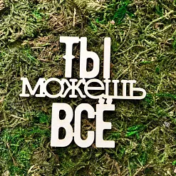 Чипборд "Ты можешь всё", 5,5х6,3 см (Белый кот)