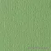 Кардсток Bazzill Basics 30,5х30,5 см однотонный с текстурой апельсиновой кожуры, цвет травяной