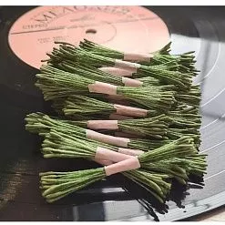 Тычинки "Удлиненные. Темно-зеленые на темно-зеленой нити", 25 шт (AgiArt) Тычинки "Удлиненные. Темно-зеленые на темно-зеленой нити", 25 шт (AgiArt)