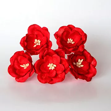 Букет магнолий "Красный", 5 шт (Craft)