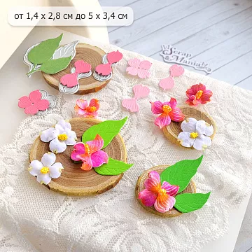 Нож "Кизил 2", 5х3,4 см (ScrapMania)