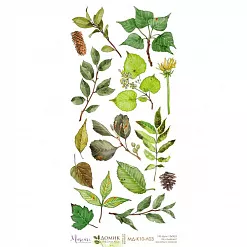 Бумага 15х30 см "Домик лесника. Картинки для вырезания 03" (Muscari)