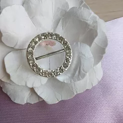 Акриловое украшение со стразами "Пряжка. Круг", 1,9 см, 1 шт Акриловое украшение со стразами "Пряжка. Круг", 1,9 см, 1 шт