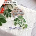Нож "Листья леса. Гинкго", 6,6х7,2 см (ScrapMania)