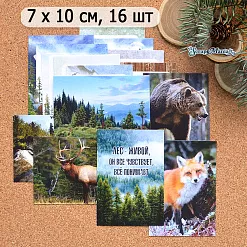 Набор карточек "Тайга", 7х10 см, 16 шт (ScrapMania)