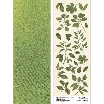 Лист с картинками 10х30 см "Ботаника. Ветки деревьев" (ScrapMania)