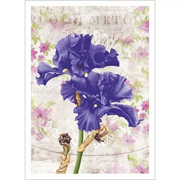 Тканевая карточка "Яркие моменты. Полет фантазии" (ScrapMania)