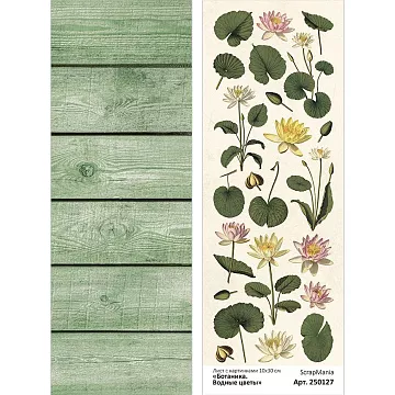 Лист с картинками 10х30 см "Ботаника. Водные цветы" (ScrapMania)