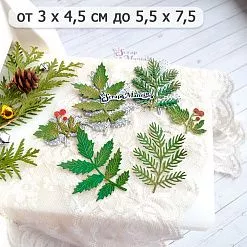 Нож "Парковые веточки", 5,5х7,5 см (ScrapMania) Нож "Парковые веточки", 5,5х7,5 см (ScrapMania)