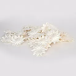 Набор плоских цветов "Белые. Крупные", 20 шт (Craft)