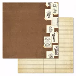 Набор бумаги 30,5х30,5 см "Спасибо, доктор!", 12 листов (ScrapMania) Набор бумаги 30,5х30,5 см "Спасибо, доктор!", 12 листов (ScrapMania)