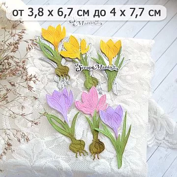 Нож "Первоцветы. Крокусы", 4х7,7 см (ScrapMania)