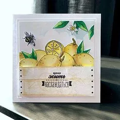 Штамп "Лимон на веточке", 5х3 см (Скрапклуб)