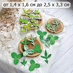 Нож "Клевер луговой. Листья", 2,5х3,3 см (ScrapMania)