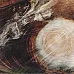 Бумага "Викинги. Вековые кольца" (ScrapMania)
