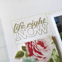 Пудра для эмбоссинга ZING "Brown Sugar. Коричневый сахар" (American Crafts) Пудра для эмбоссинга ZING "Brown Sugar. Коричневый сахар" (American Crafts)