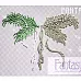 Набор ножей для вырубки "Сосна и нити 2" (Fantasy)