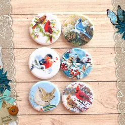 Набор фишек "Птицы зимой" (Scrapmania) Набор фишек "Птицы зимой" (Scrapmania)