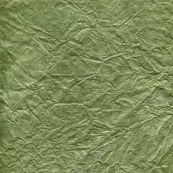 Бумага "Фономикс. Зеленый. Бумага" (ScrapMania)