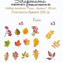 Набор высечек "Осень. Листья", 69 шт (Scrapmama)