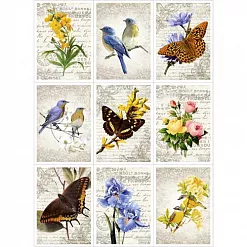 Скрап-карта A4 "Красота природы" (ScrapMania) Скрап-карта A4 "Красота природы" (ScrapMania)