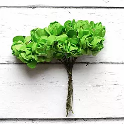 Букет диких роз "Зеленый", 12 шт Букет диких роз "Зеленый", 12 шт