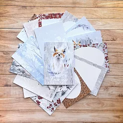 Набор карточек "Снежная клюква", 16 шт (ScrapMania)