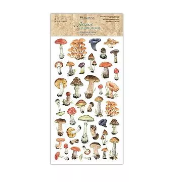 Набор бумаги 15х30 см "Лесные зарисовки. Картинки для вырезания", 6 листов (Ромалетта)