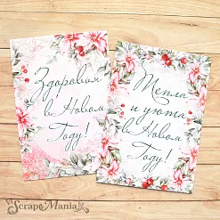 Набор карточек "Зимняя прелесть" (ScrapMania) Набор карточек "Зимняя прелесть" (ScrapMania)