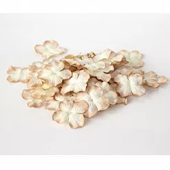 Набор больших гортензий "Светло-бежевые двухтоновые", 10 шт (Craft)