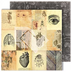 Бумага "Homo sapiens. Карточки" (DreamLight Studio) Бумага "Homo sapiens. Карточки" (DreamLight Studio)