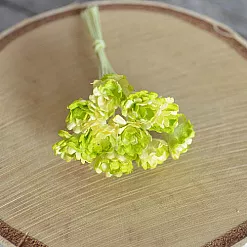 Букет гипсофил "Зеленый с белым", 1 см, 10 шт (Craft)