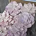 Набор цветов "Orchid", 8 шт (Summer Studio)