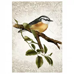 Тканевая карточка мини "Звуки природы. Малиновка в саду" (ScrapMania)