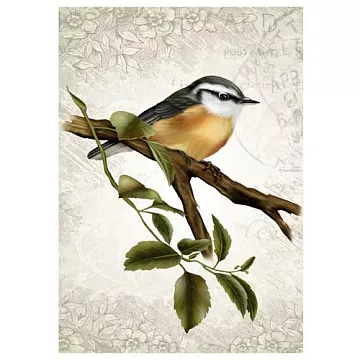 Тканевая карточка мини "Звуки природы. Малиновка в саду" (ScrapMania)