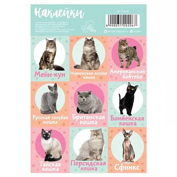 Наклейки 11х16 см "Кошечки" (АртУзор)