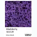 Пудра для эмбоссинга полупрозрачная "Blackberry. Ежевика" (WOW)