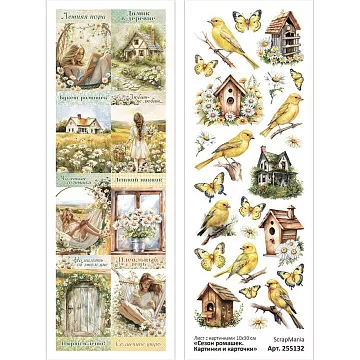Лист с картинками 10х30 см "Сезон ромашек. Картинки и карточки" (ScrapMania)