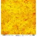 Набор бумаги 30х30 см "School", 12 листов (MonaDesign)