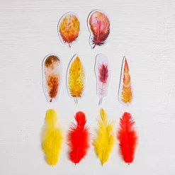 Набор перьев "Осенние краски" (АртУзор)